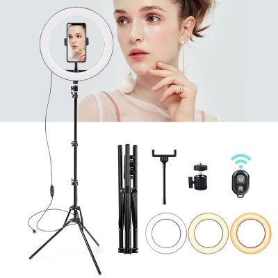 China Amazon Inch 10 LED Ring Light with 1.6m Tripod Stand Cell Phone Holder for Livestream Light Makeup Youtube Studio Ring Shaped Light for sale