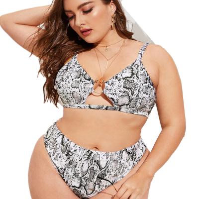 China Factory direct copy snakeskin pattern breathable sexy plus size bikini for women for sale