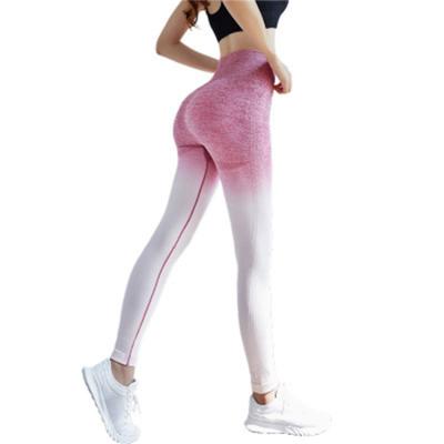 China New Hot Sale Gradient Color Women's Skinny Breathable Yoga And Quick-drying Sports Pants Breathable Pants for sale