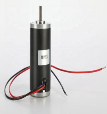 China Drip-proof 24V Qualified Micro DC Brush Motors Micro Permanent Magnet Motor in Hot Sale for sale