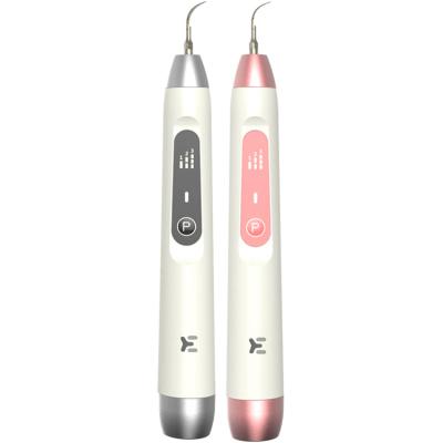 China 2021 High Frequency Rechargeable Dental Vibrating Ultra Sonic Portable Electric Tooth Cleaner (Built-in Battery) Filling for sale