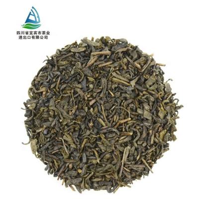 China Chunmee loose tea natural tea material in fresh tea leaves for sale