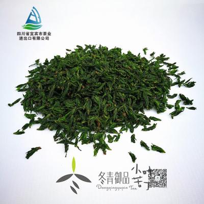 China Small Loose Leaf Kuding Tea Medium Weight Loss Detox Tea for Africa, Europe, Middle East, Asia for sale