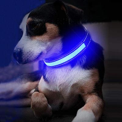 China Night Reflective Anti Lost Safety USB Rechargeable LED Glow Up Adjustable Nylon Dog Collar For Small Large Dogs for sale