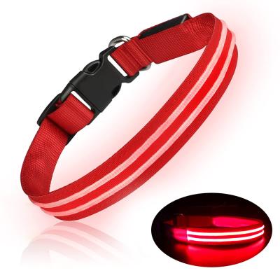 China Light Up Collar Safe Fashion USB Light Plain Rechargeable Anti-lost Attractive Waterproof Led Nylon Dog Collar for sale