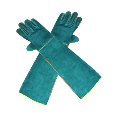 China Viable Pet Shop Pet Shop Anti-scratch Anti-bite Anti-scratch Pet Glove 62CM Pet Grooming Gloves for sale