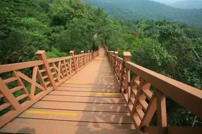 China Verjas al aire libre huecos sintéticas plásticas de madera de la escalera en negro/Brown en venta