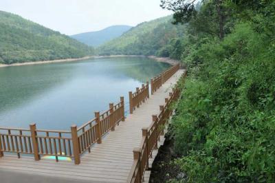 Cina Impermeabilizzi l'inferriata/balaustra composite di plastica di legno vuote del balcone in vendita