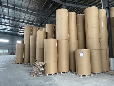 China Environmentally Friendly Coated Wood Free Paper For Offset Printing Of Text Books And Magazines. for sale