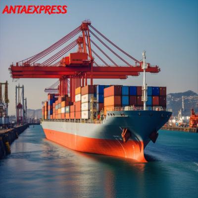 China Ddu Ddp Logistic Sea Riders Freight Forwarder Service From Shenzhen To World for sale