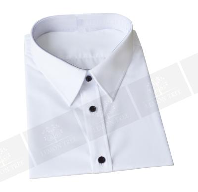 China White 100 Cotton Anti-pilling Non Iron Dress Shirt for sale