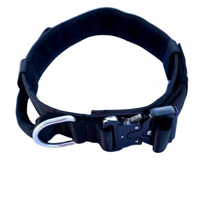 China Sustainable Sport Nylon Collar For Dog Training for sale