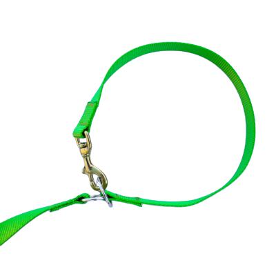 China Viable wholesale green leash and collar in one for dog training for sale