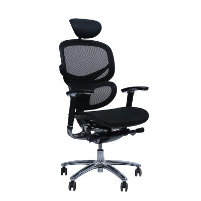 China Ergonomic Chair Mesh (Height) ChaoYa High Back Mesh Seat Office Chair Back Chair Adjustable Lumbar Swivel for sale