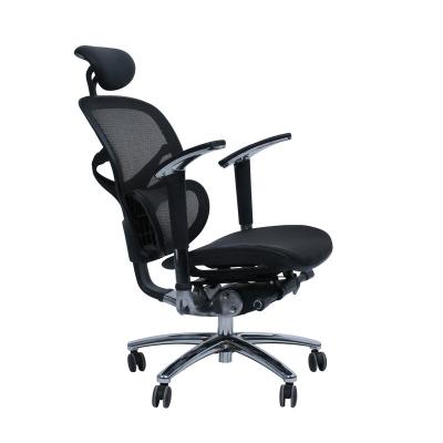 China (Size) 2021 Hot Selling Ergonomic Adjustable ChaoYa Mesh Chair Home Office Computer Chair Freestanding for sale