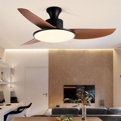 China Energy Saving Remote Control Modern Winding Wire Light Ceiling Fan Light for sale