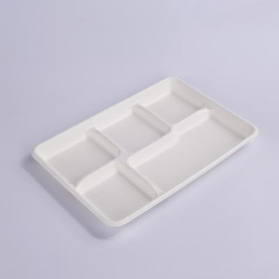 China Food Delivery Packing 5 COM Food Container Packing Box Bagass Disposable Biodegradable Fast Food Box for sale