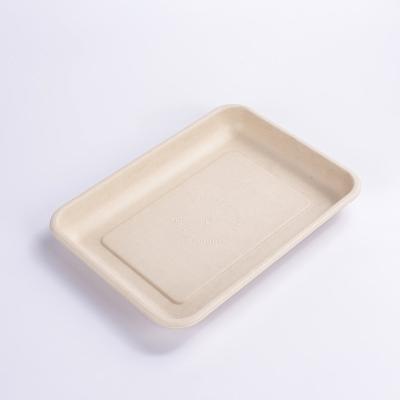 China Country Takeaway Biodegradable Container Pulp Tableware Compostable Pulp Meat Tray for sale