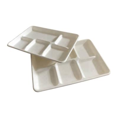 China Eco-Friendly Oil-proof Eco-friendly Disposable Biodegradable Sugar Cane Catering Bagasse Food Dish for sale