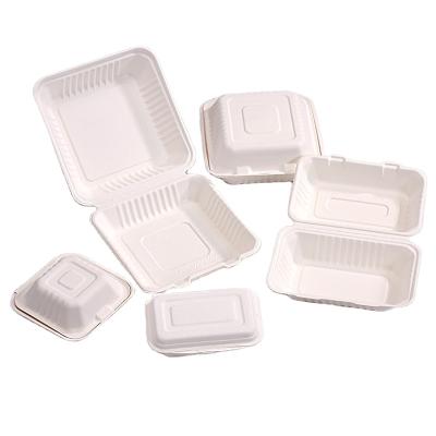 China Contemporary Disposable Biodegradable 3 Compartment Food Container Pulp Bagasse Clamshell Box for sale