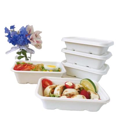 China Disposable Biodegradable Compostable Bagasse Food Packaging Containers for sale