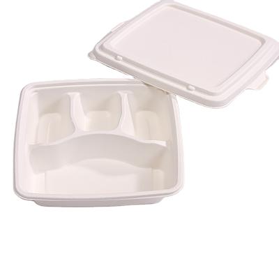 China Disposable Compostable Biodegradable Bagasse Food Container With Lid for sale