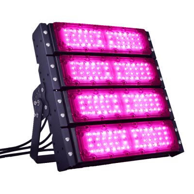 China Seed Starting Full Spectrum To Grow Light For Indoor Garden Greenhouse Plant Full Spectrum 200W Led To Grow Light for sale