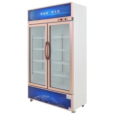 China Custom Cheap Vertical Upright Glass Door Freezer Refrigerator and Chillers Display Showcase for Cold Drink in Retail Supermarket for sale