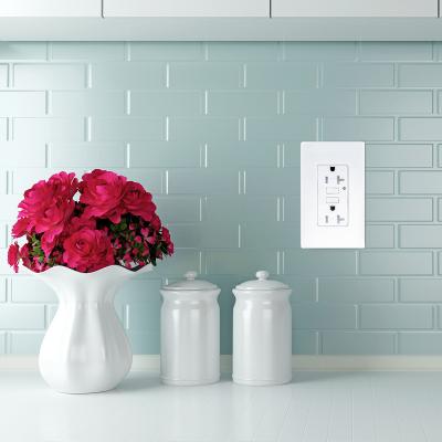 China LD -U001 4.2A Smart High Speed USB Charger Outlet 2 portas USB com 2 placas de parede à venda