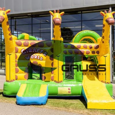 China 2017 Outdoor Hot Sale Inflatable Bouncy Jumping Castle for sale