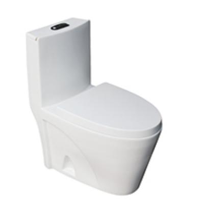 China Double-flush one-piece toilet down wash S-250mm economicos toilet bowl SA-2226 for sale