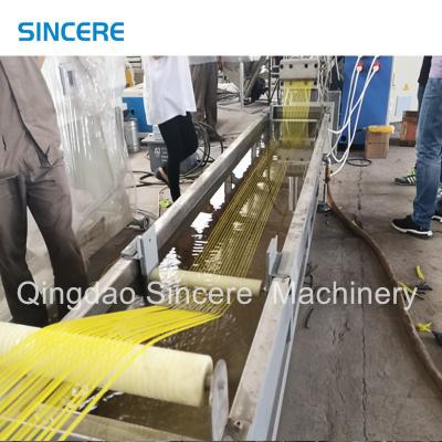 Cina Equipaggiamento per la linea di pelletizzazione di rifiuti di plastica di riciclaggio in PP, PE, PVC 200 kg/h-800 kg/h in vendita