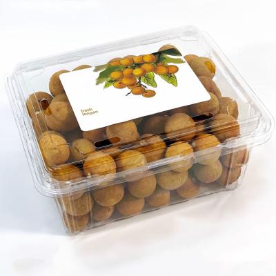 China 1000G High Transparent Recyclable PET Packing Box Longan Fruit Box Packaging Disposable Plastic Fruit Package Fruit Packaging for sale