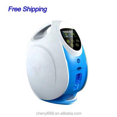 China Pigment Removal Household Oxygen Generator 1L Safe Handy Small Oxygen Generator for sale