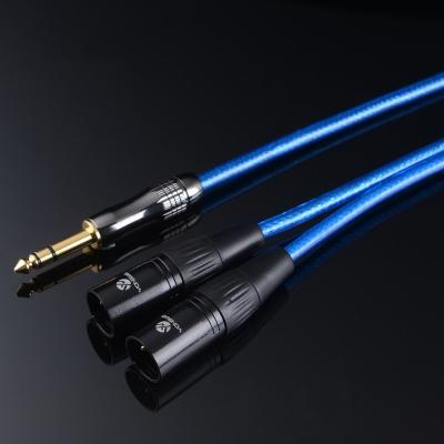 China COMPUTER Factory Whosale 6.35 mmTo 2 XLR 3 Pin Cannon Male Stereo Speaker Audio Cable for sale