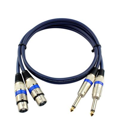 China Camera Factory Direct Mono 6.35mm TS Dual To Dual XLR 2 Female 6.35mm To Canon 2XLR Audio Cable for sale