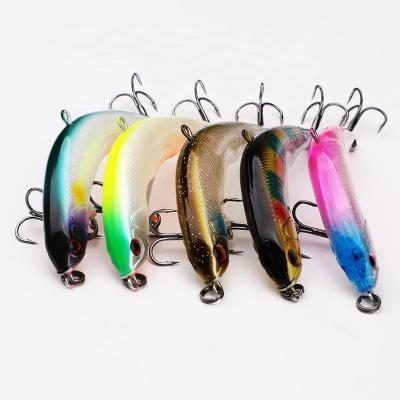 China Plastric Hard Lure New Design 5 Piece 3.42in/7.5g 2.75in/4g Topwater Pencil Fishing Dying Lure Fishing Pencil Bait Wobbler Set for sale