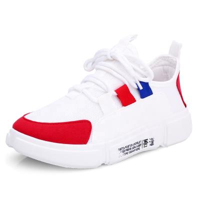 China WD001 Breathable Woman Shoes Canvas Sneakers 2020 New Arrivals Mens Shoe New Design for sale