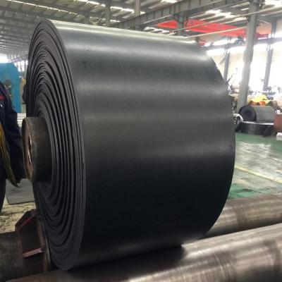 China Conveyor Belt Heat Resistant PE Polyester Rubber Heat Resistant Type for sale