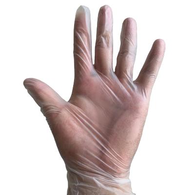 China Powder Free Smooth Powder Free Disposable Vinyl Gloves Hot Selling Chinese Factory for sale