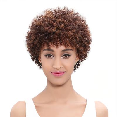 China Hot Selling Short Curly Afro Hair Products Brazilian Full Lace Wig Curly Curly Wig for sale