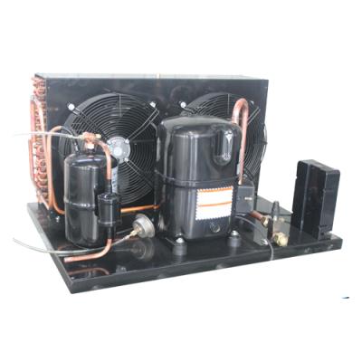 China Industrial Hotels Cold Room Refrigeration Unit Refrigeration Condenser Unit for sale