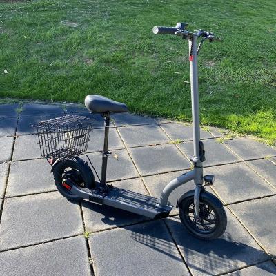 China New Style H8 Cargo Scooters 300W/350W Unisex Electric Fat Tire Foldable Portable Smart Adult Electric Scooter for sale