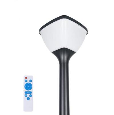 Chine induction solaire de corps humain de lumière de jardin de 20w IP65 pour la décoration extérieure de yard à vendre