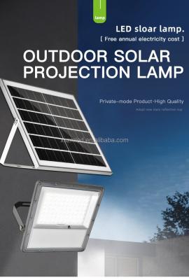 China Muera oscuridad al aire libre solar del ODM del OEM de la luz de inundación de la fundición de aluminio a Dawn Lamp With Remote en venta