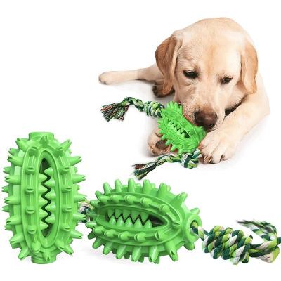 China Sustainably Chewable Toothbrush Cactus Dog Toy Dog Chew Brush Teeth Hard Dog Toys For Aggressive Chewers for sale