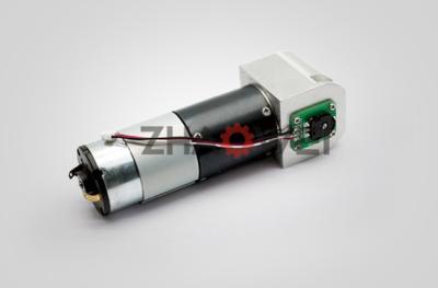 China Drehmomentstarke Lasts-Geschwindigkeit des DC-Bürsten-Roboter-Gang-Motor115rpm fertigte Od 3,4 bis 38mm besonders an zu verkaufen