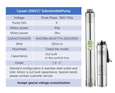 China Developing World Water Solutions Liyuan 4 Inch ATA Pump J200/17 Series 4hp 3Kw 112m Motor Three Phase Solar Submersible Water Pump for sale