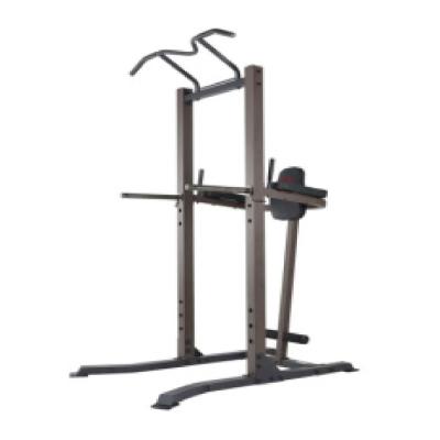 China Home Gym Essential LCL Supported Chin Up and Dip Station for Total Body Exercise for sale