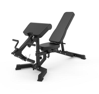 China Adjustable Sit Up Bench for Weight Lifting Modern Style Foldable Dumbbell Weight Bench for sale